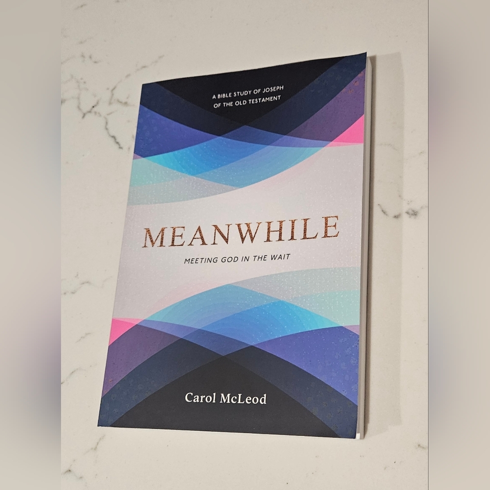 Meanwhile: Meeting God in the Wait Carol McLeod Paperback Book
